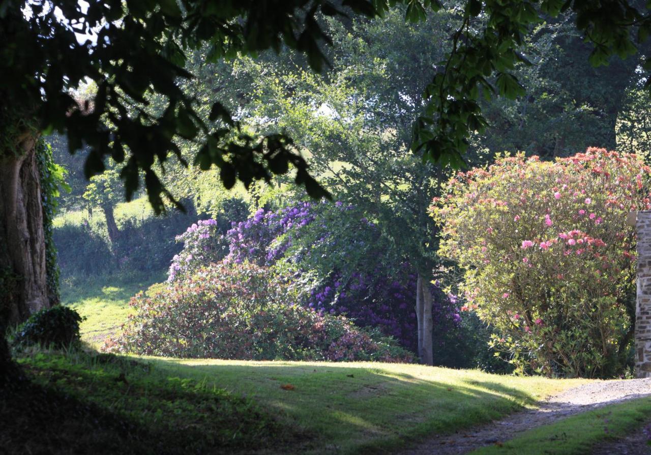 Devon Country Paradise Tavistock  Exterior foto