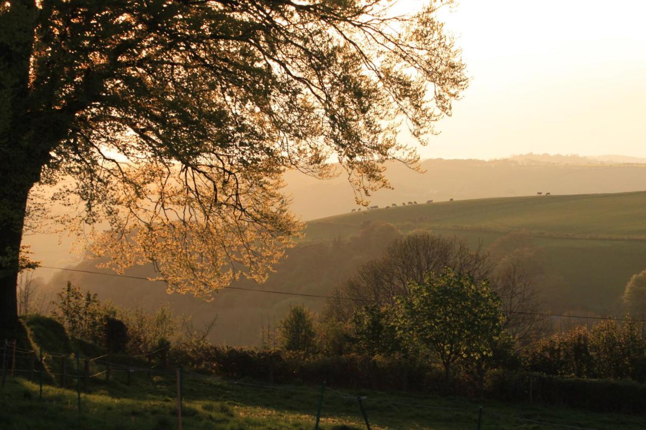 Devon Country Paradise Tavistock  Exterior foto
